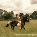 nude with horse 135