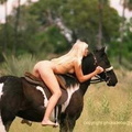 nude with horse 136