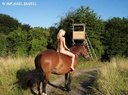 nude with horse 54