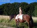 nude with horse 56