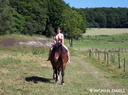 nude with horse 65
