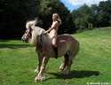 nude with horse 8
