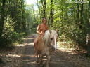 nude with horse 111