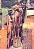 nudists nude naturists couple 0084