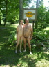 nudists nude naturists couple 0967
