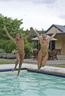 nudists nude naturists couple 2835