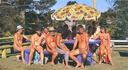 nudists group on beach 23