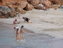 nudists group on beach 249