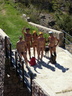nudists group on beach nc16 001