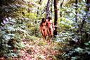 young home nudist 006