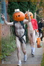 20101101 nude pumpkin runners 011
