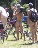 2012 wnbr world naked bike ride various 1538