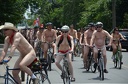 2012 wnbr world naked bike ride various 1586