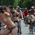 2012 wnbr world naked bike ride various 1588