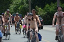 2012 wnbr world naked bike ride various 1611